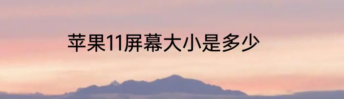 苹果11屏幕大小是多少