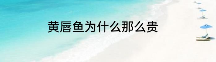 黄唇鱼为什么那么贵