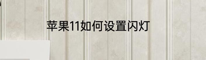 苹果11如何设置闪灯