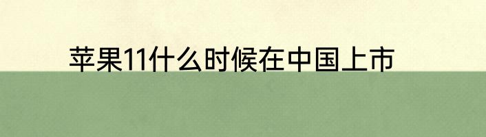 苹果11什么时候在中国上市