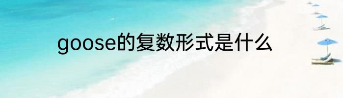 goose的复数形式是什么