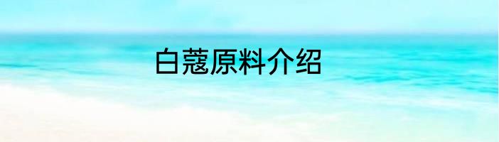 白蔻原料介绍