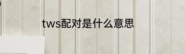 tws配对是什么意思