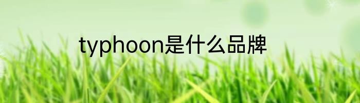 typhoon是什么品牌