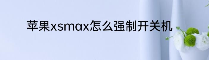 苹果xsmax怎么强制开关机