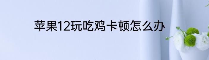 苹果12玩吃鸡卡顿怎么办