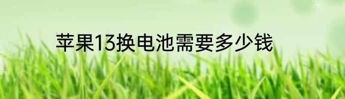 苹果13换电池需要多少钱