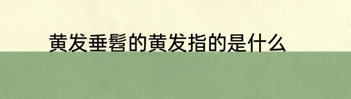 黄发垂髫的黄发指的是什么