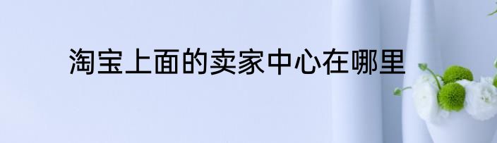 淘宝上面的卖家中心在哪里