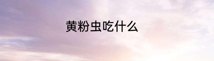 黄粉虫吃什么