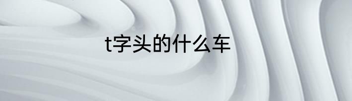 t字头的什么车
