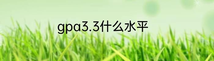 gpa3.3什么水平