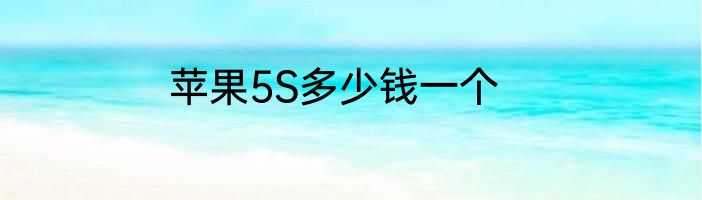 苹果5S多少钱一个