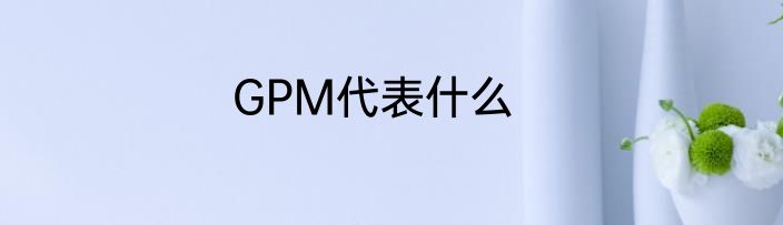 GPM代表什么