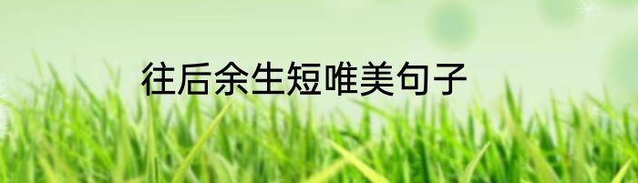 往后余生短唯美句子