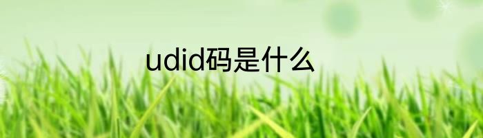 udid码是什么