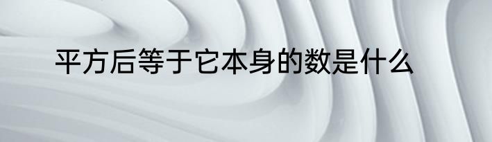 平方后等于它本身的数是什么