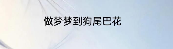 做梦梦到狗尾巴花