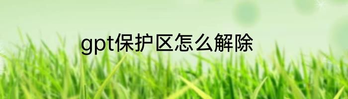 gpt保护区怎么解除