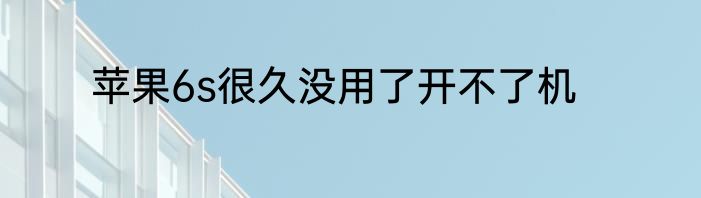 苹果6s很久没用了开不了机