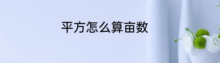 平方怎么算亩数