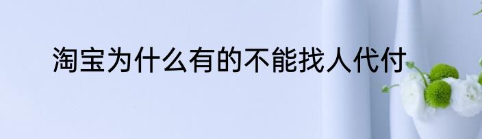 淘宝为什么有的不能找人代付