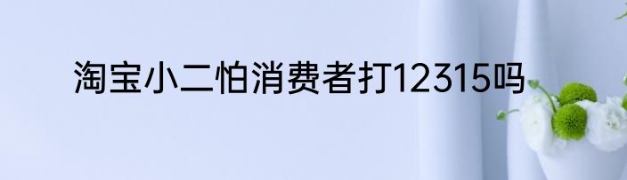 淘宝小二怕消费者打12315吗