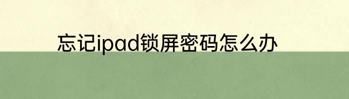 忘记ipad锁屏密码怎么办