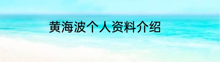 黄海波个人资料介绍