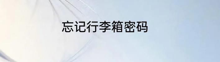 忘记行李箱密码