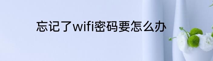 忘记了wifi密码要怎么办
