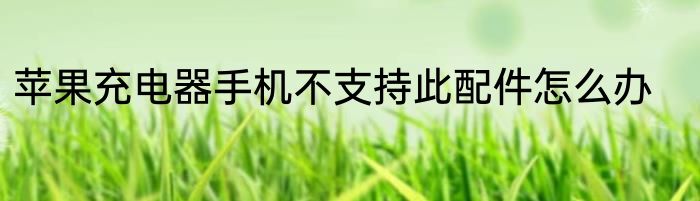 苹果充电器手机不支持此配件怎么办