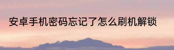 安卓手机密码忘记了怎么刷机解锁