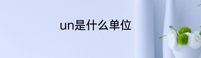 un是什么单位