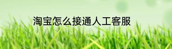 淘宝怎么接通人工客服