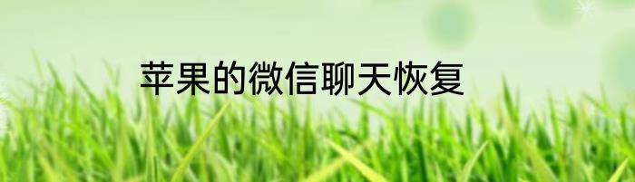 苹果的微信聊天恢复