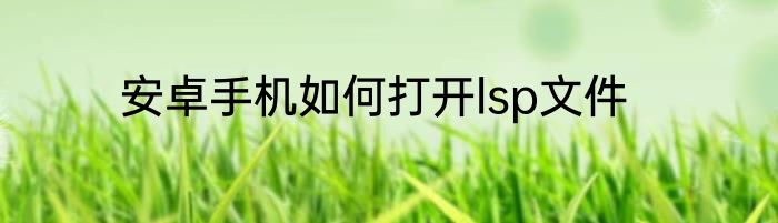 安卓手机如何打开lsp文件