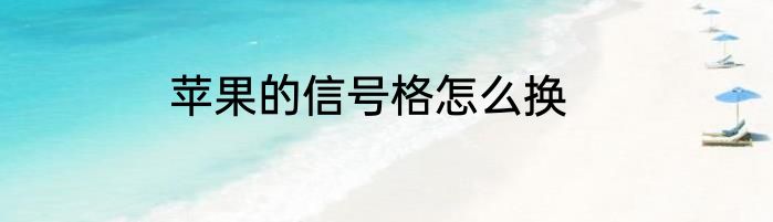 苹果的信号格怎么换