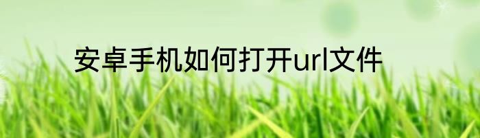 安卓手机如何打开url文件