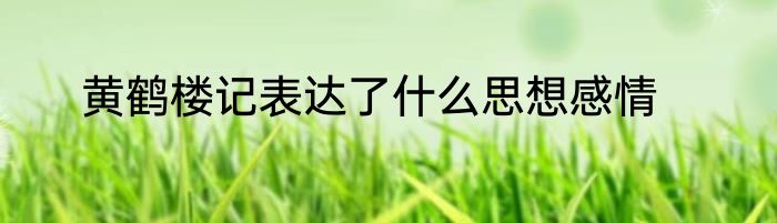 黄鹤楼记表达了什么思想感情