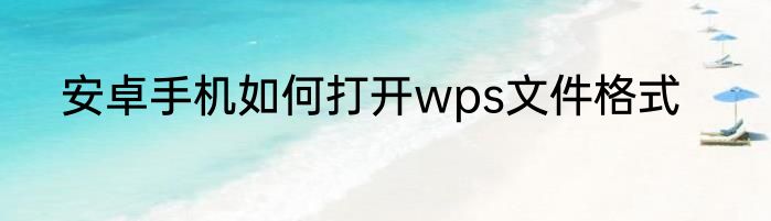 安卓手机如何打开wps文件格式