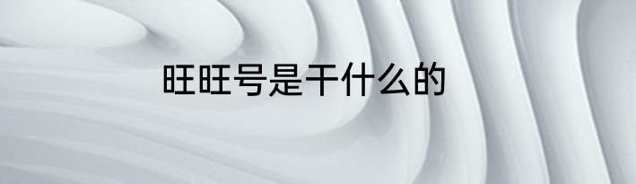 旺旺号是干什么的