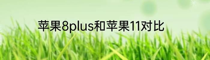 苹果8plus和苹果11对比