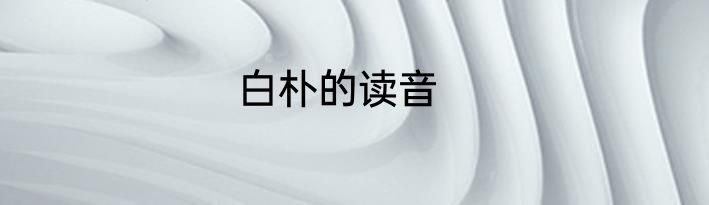白朴的读音