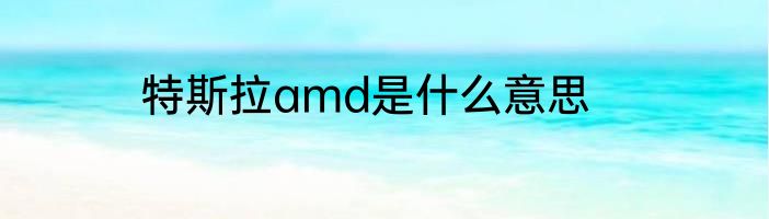 特斯拉amd是什么意思