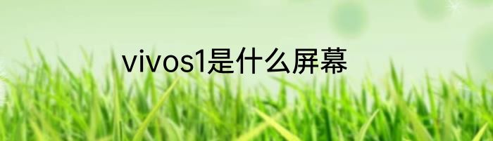 vivos1是什么屏幕