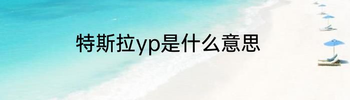 特斯拉yp是什么意思