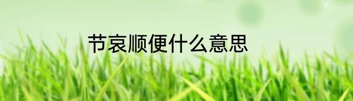 节哀顺便什么意思