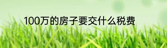 100万的房子要交什么税费