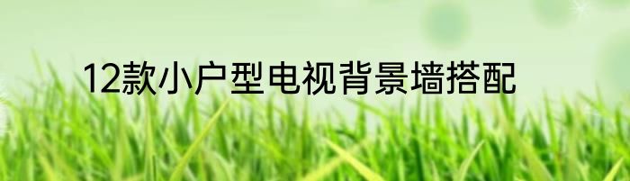 12款小户型电视背景墙搭配